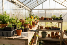 Wireless Temperature & Humidity Sensor